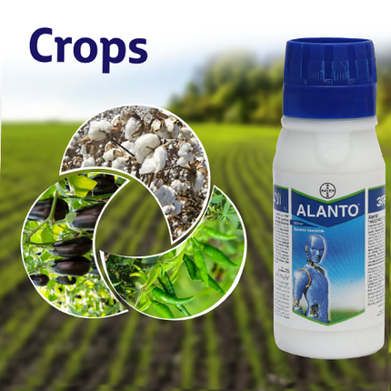 Bayer Alanto Insecticide crops