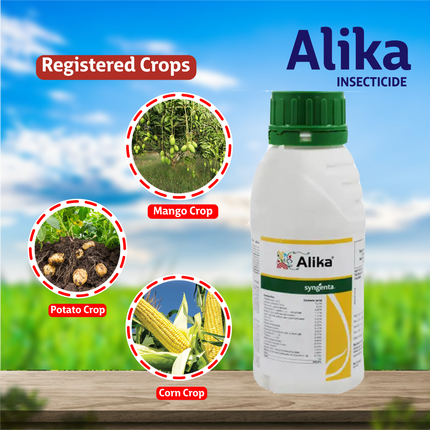 Syngenta Alika Insecticide Crops