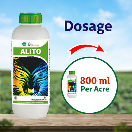 Swal Alito  - 500 ML Dosage
