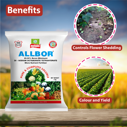 Multiplex Allbor - Boron 20% Benefits