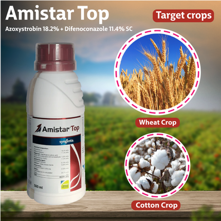 Syngenta Amistar Top Fungicide Crops