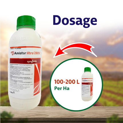 Syngenta Amistar Xtra Fungicide Dosage