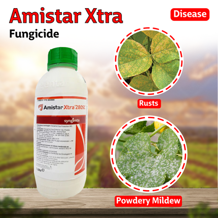 Syngenta Amistar Xtra Fungicide
