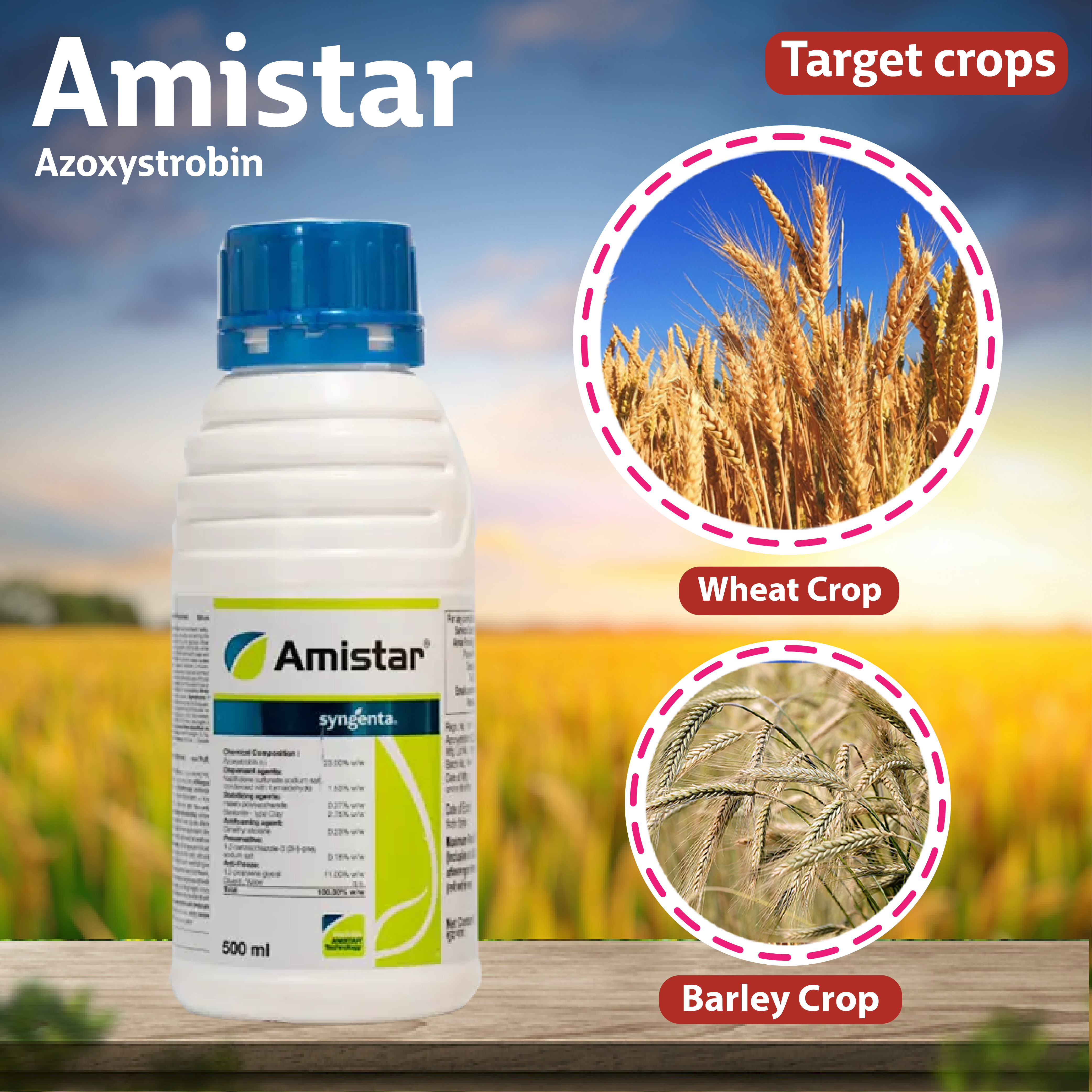 Syngenta Amistar Fungicide – Agriplex