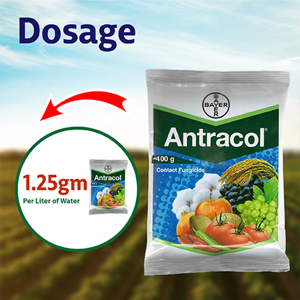Bayer Antracol Fungicide (Propineb 70% WP)  Dosage
