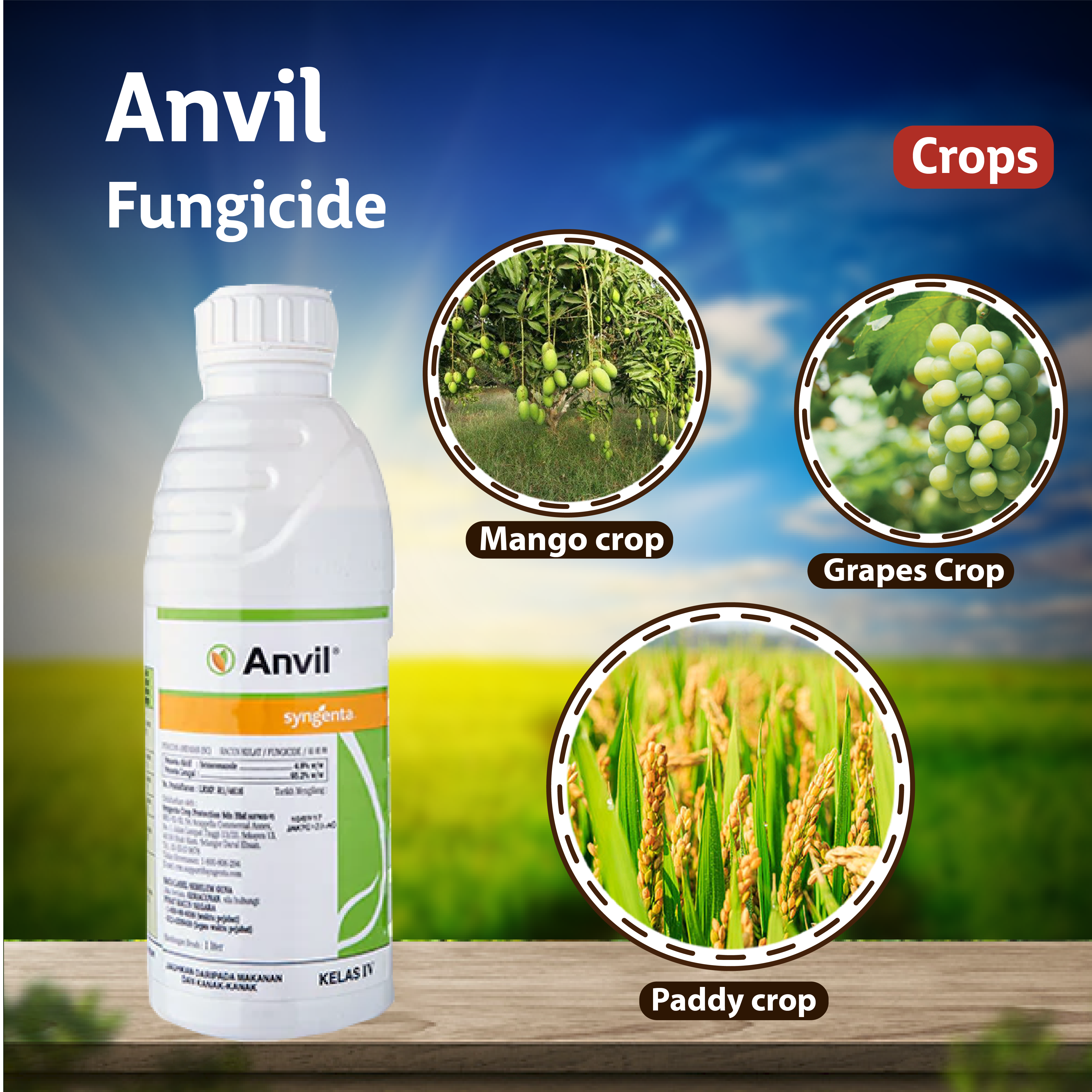 Syngenta Anvil Fungicide – Agriplex