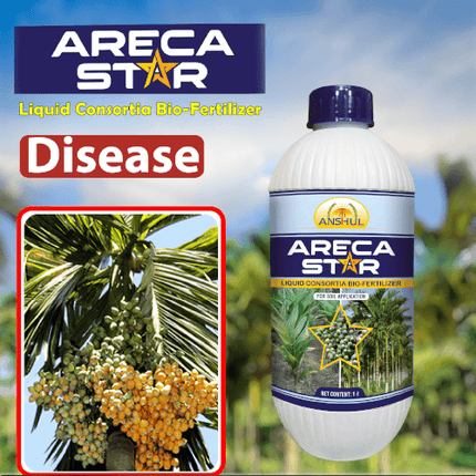 Anshul Areca Star (Liquid Fertilizer for Arecanut) Diseases