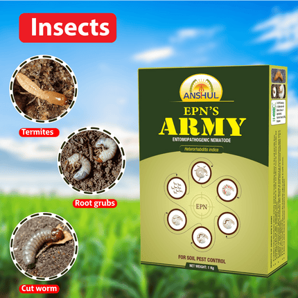 Anshul Army (EPN Nematicide)  Insects