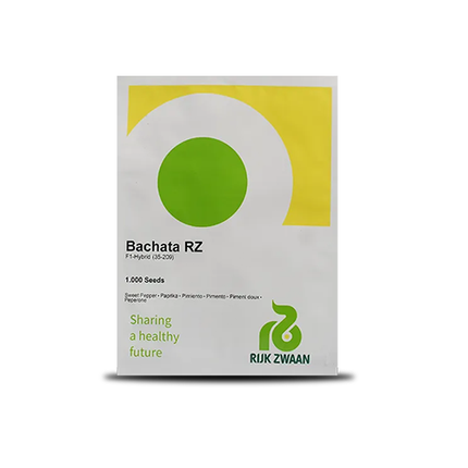Bachata RZ F1 Yellow Capsicum Seeds - 1000 SEEDS