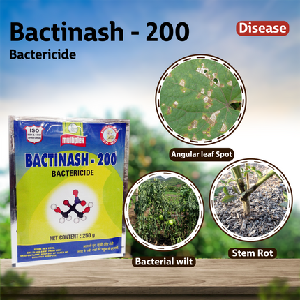Multiplex Bactinash - 200 Bactericide Disease