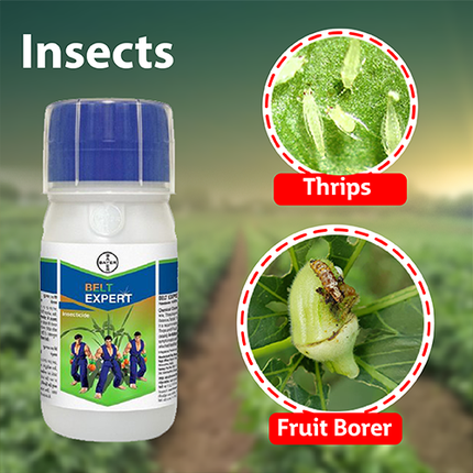 Bayer Belt Expert Insecticide -100 ML