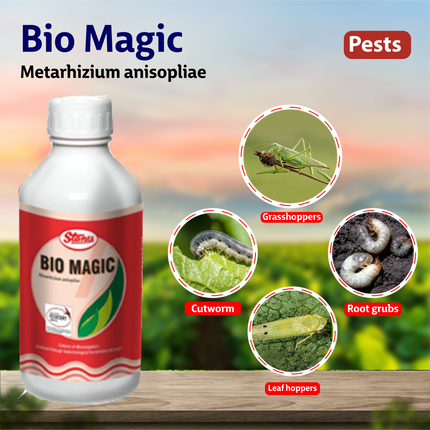 T Stanes Bio-Magic Pesticide  Pests