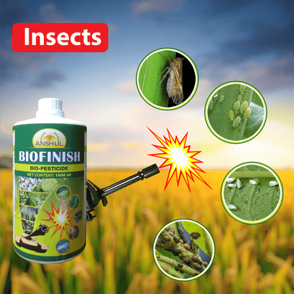Anshul Biofinish Bio Pesticide Insects