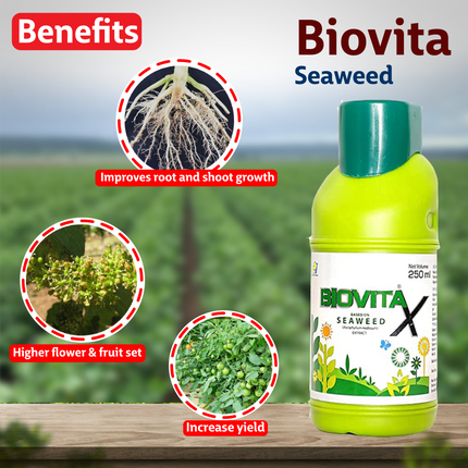 PI Biovita Seaweed (Plant Growth Regulator) - 1 LT Benefits