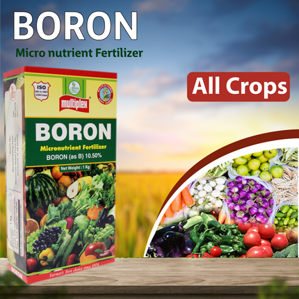 Multiplex Boron (Boron 10.50%) All crops