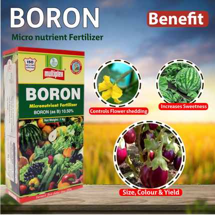 Multiplex Boron (Boron 10.50%) Benefit
