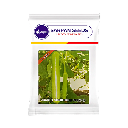 Sarpan Hybrid Bottle Gourd- 55 Seeds - 25 GM