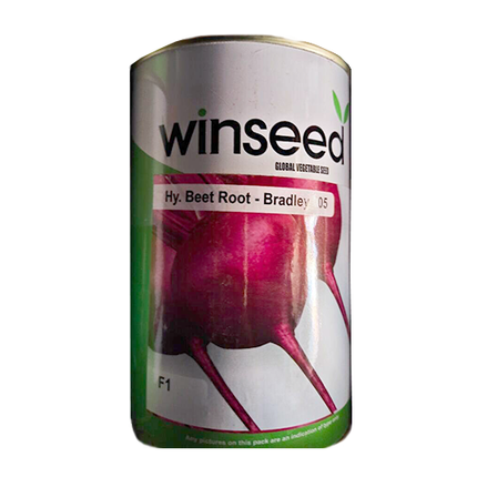 Winseed Bradly Beetroot Hybrid Seeds
