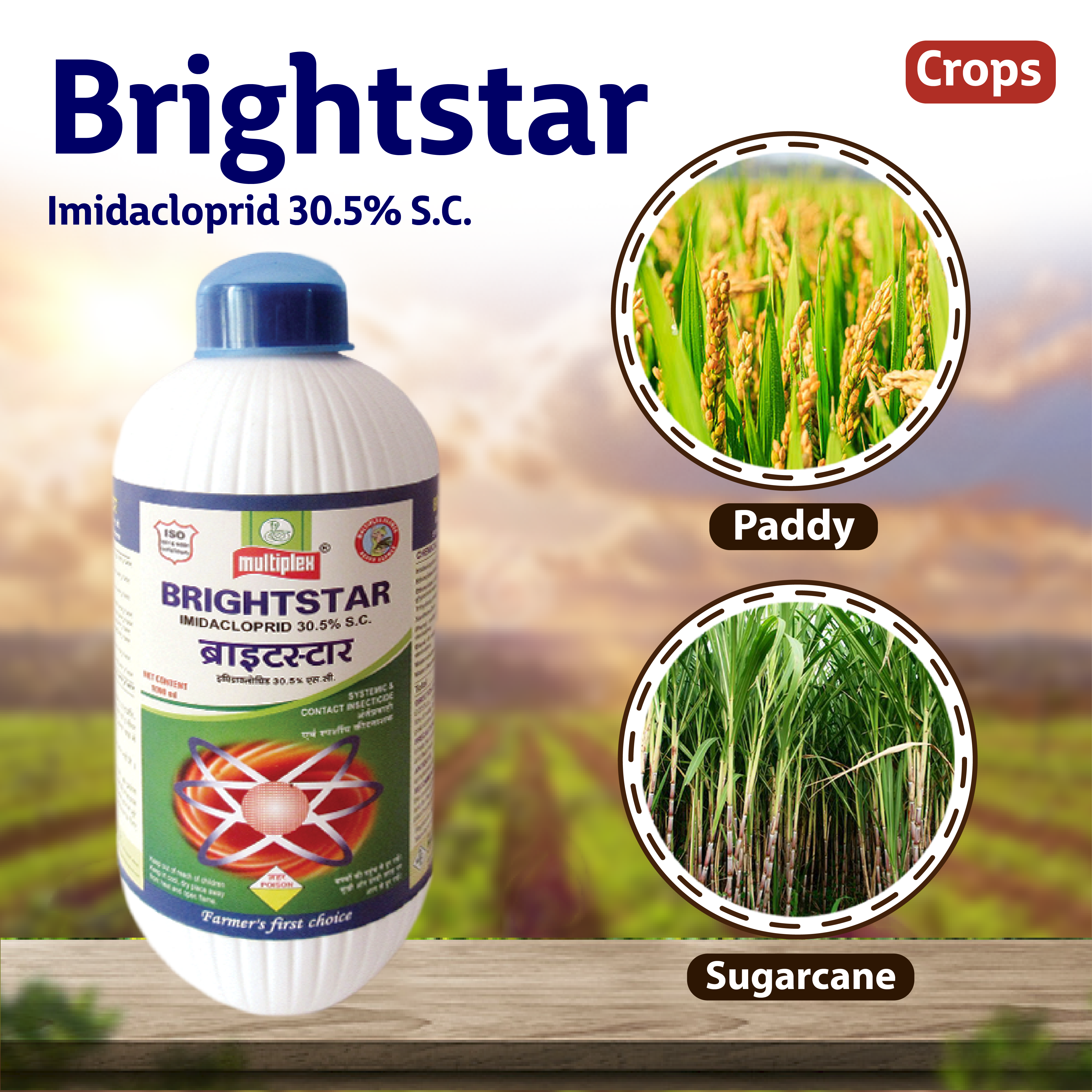 Multiplex Brightsar Insecticide – Agriplex
