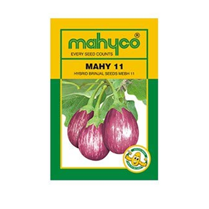 Mahyco Brinjal Mahy 11 Seeds