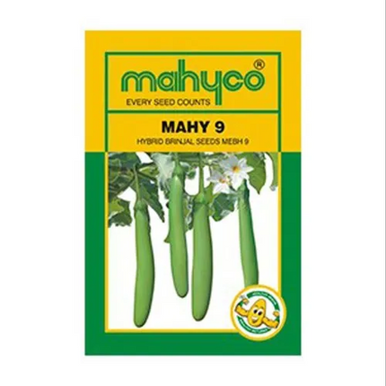 Mahyco Brinjal Mahy 9 Seeds - 10 GM