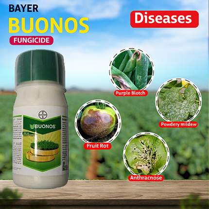 Bayer Buonos Fungicide Disease