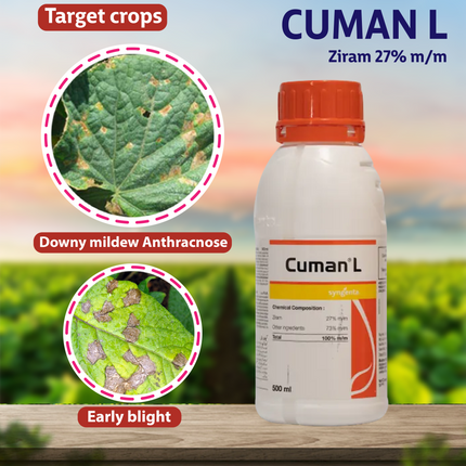 Syngenta Cuman Fungicide Uses