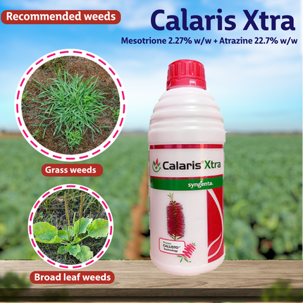 Syngenta Calaris Xtra Herbicide
