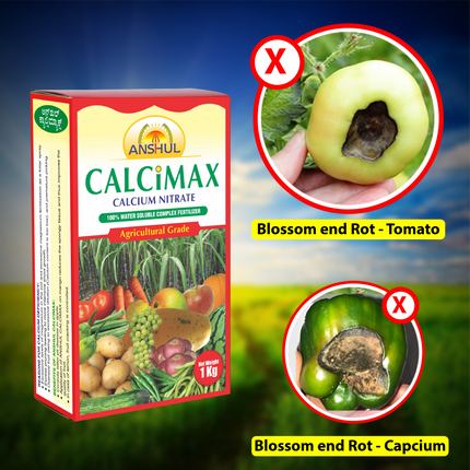 Anshul Calcimax (Calcium Nitrate) Deficiencies