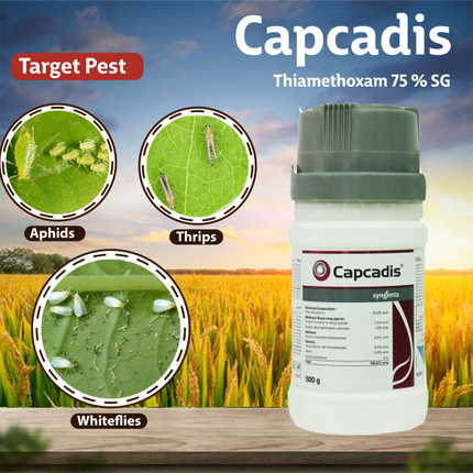 Syngenta Capcadis Insecticide Uses
