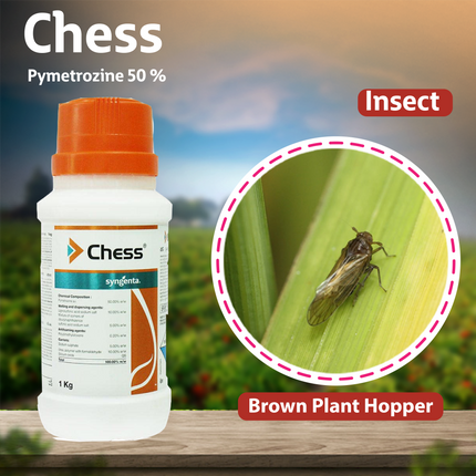 Syngenta Chess Insecticide Uses