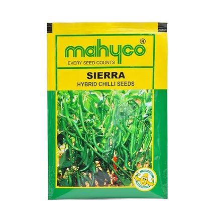 Mahyco Chilli Sierra Seeds - 10 GM