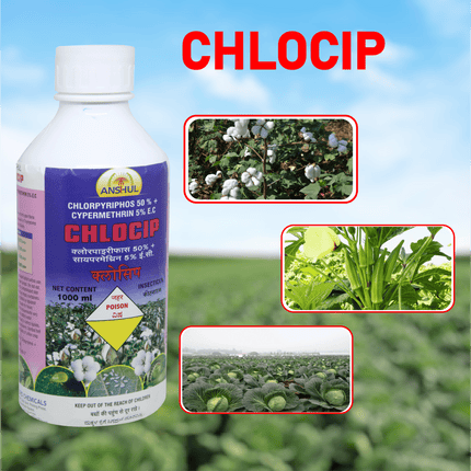 Anshul Chlocip (Chlorpyriphos 50%+Cypermethrin 5%EC) Insecticide Crops