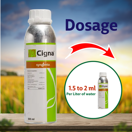 Syngenta Cigna Insecticide Dosage