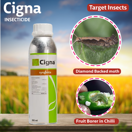 Syngenta Cigna Insecticide Uses