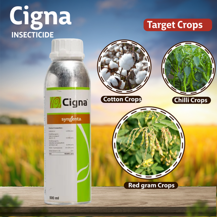 Cigna Insecticide Syngenta Crops