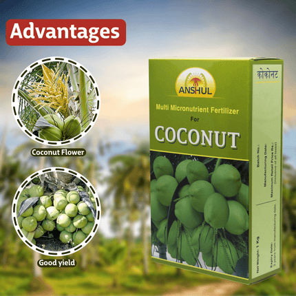 Anshul Coconut (Fertilizer for Coconut Tree) Advantages