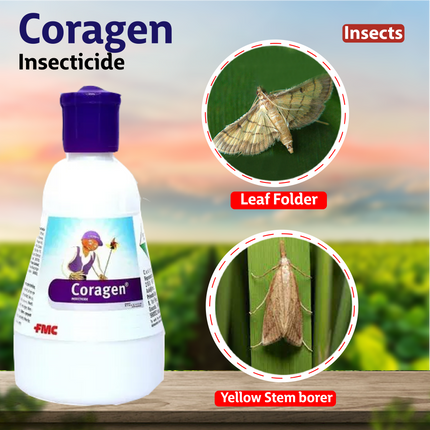 FMC Coragen Insecticide 