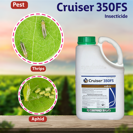 Syngenta Cruiser 350FS Insecticide Use
