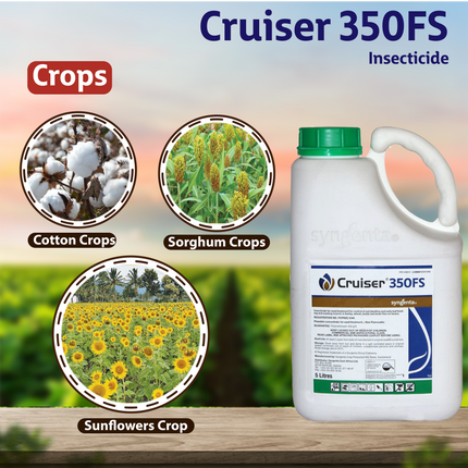 Cruiser 350FS Insecticide Syngenta Crops