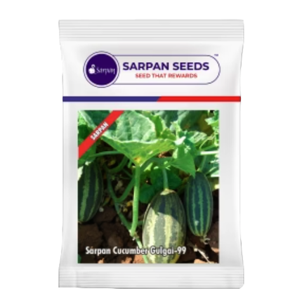 Sarpan Cucumber Gulgai - 99 Seeds - 50 GM