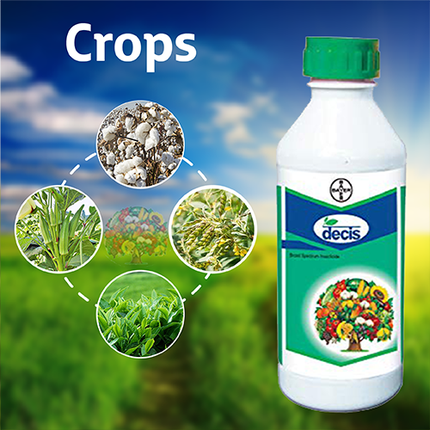 Bayer Decis 100 EC Insecticide Crops