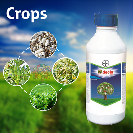 Bayer Decis 2.8 EC Insecticide Crops
