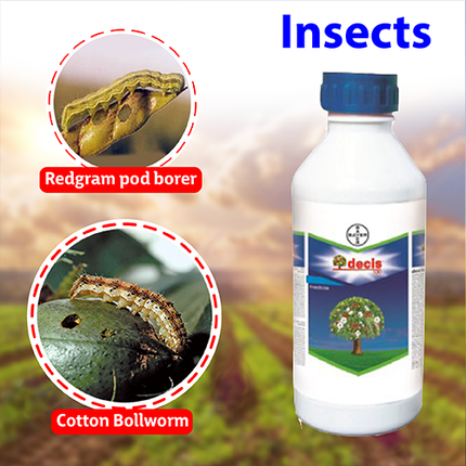 Bayer Decis 2.8 EC Insecticide
