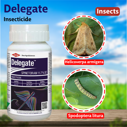 Corteva Delegate Insecticide - Agriplex