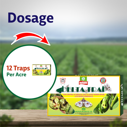 Multiplex Delta Trap (Brinjal shoot & Fruit Borer)  Dosage