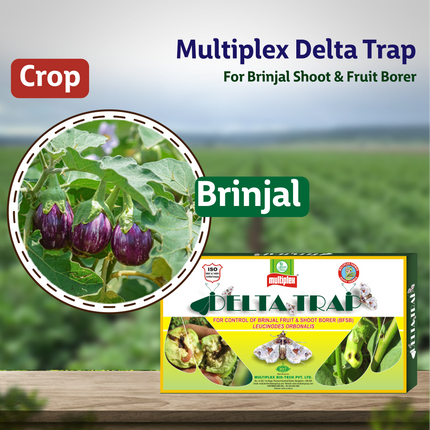 Multiplex Delta Trap (Brinjal shoot & Fruit Borer)  Crop