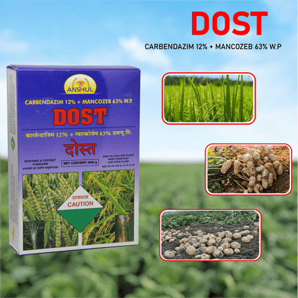 Anshul Dost (Carbendazim 12% + Mancozeb 63%) Fungicide Crops