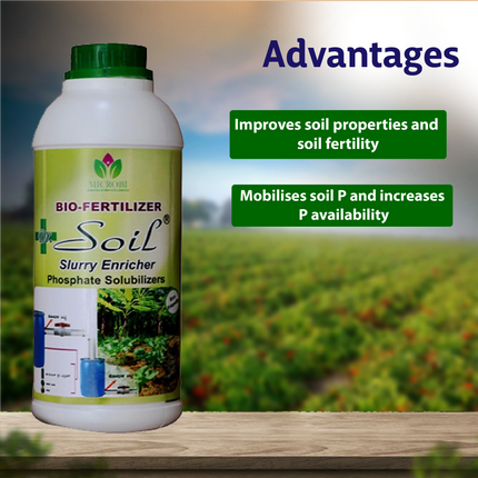 Dr. Soil Slurry Enricher Phosphate Solubilizers - 1 LT Advantages