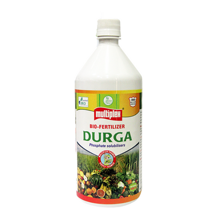Multiplex Durga (PSB) Liquid